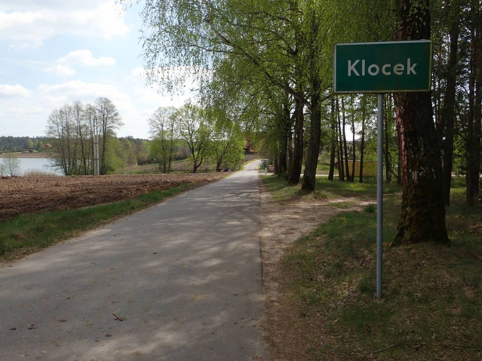 Zdjęcie 5