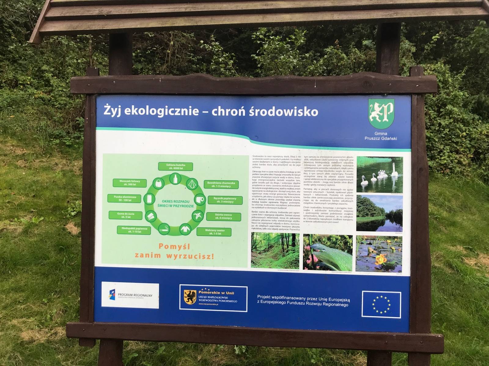 Zdjęcie 3