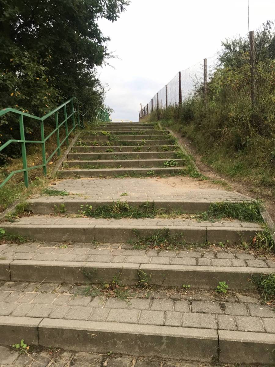 Zdjęcie 4