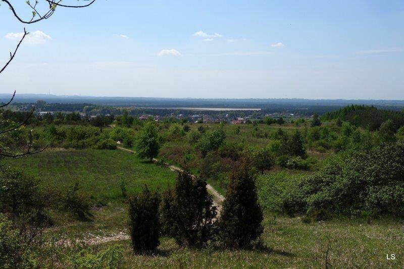 Zdjęcie 6