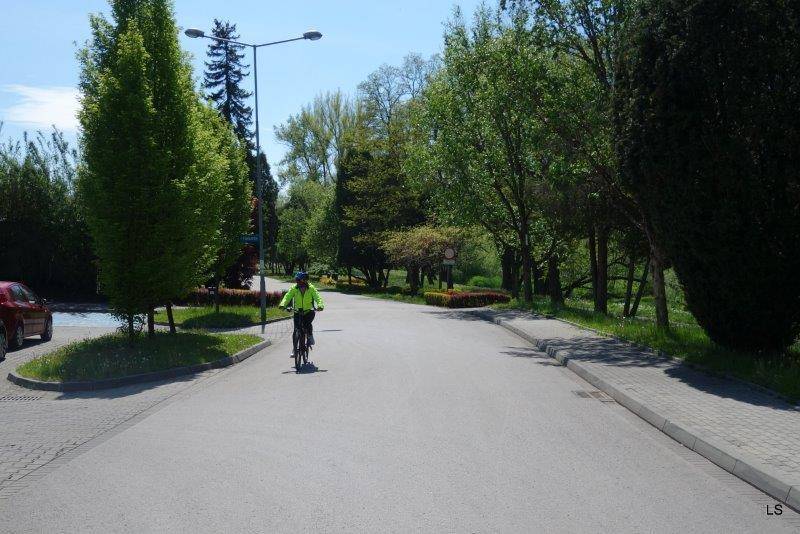 Zdjęcie 4