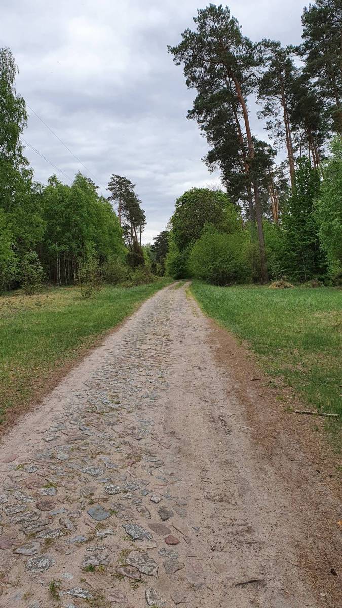 Zdjęcie 2