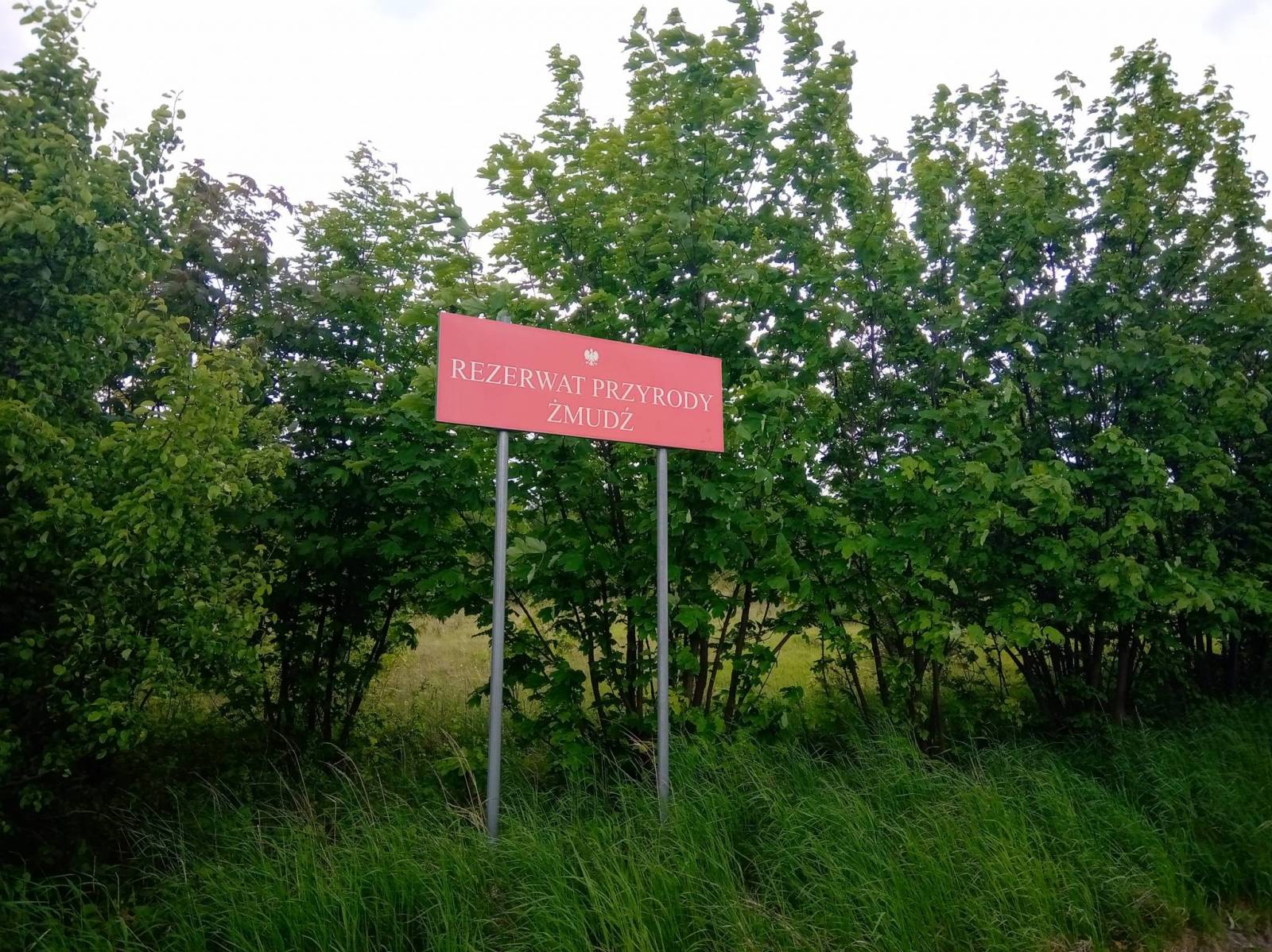 Zdjęcie 5