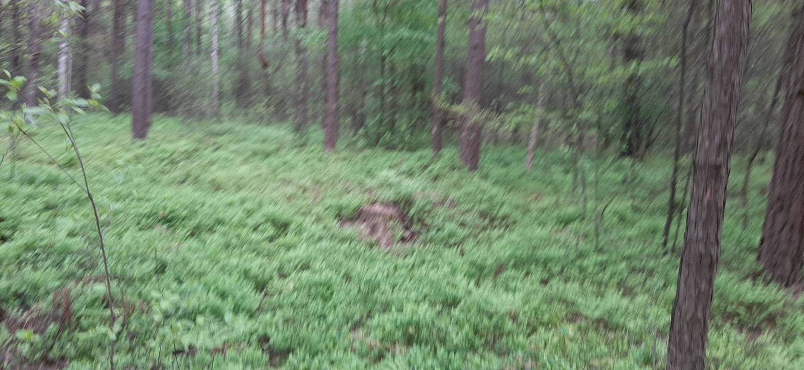 Zdjęcie 4