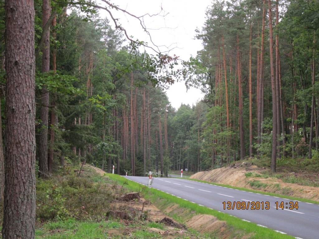 Zdjęcie 6