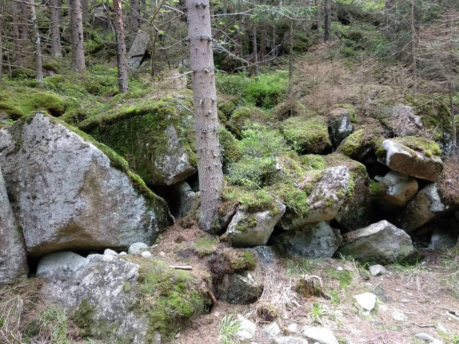 Zdjęcie 5