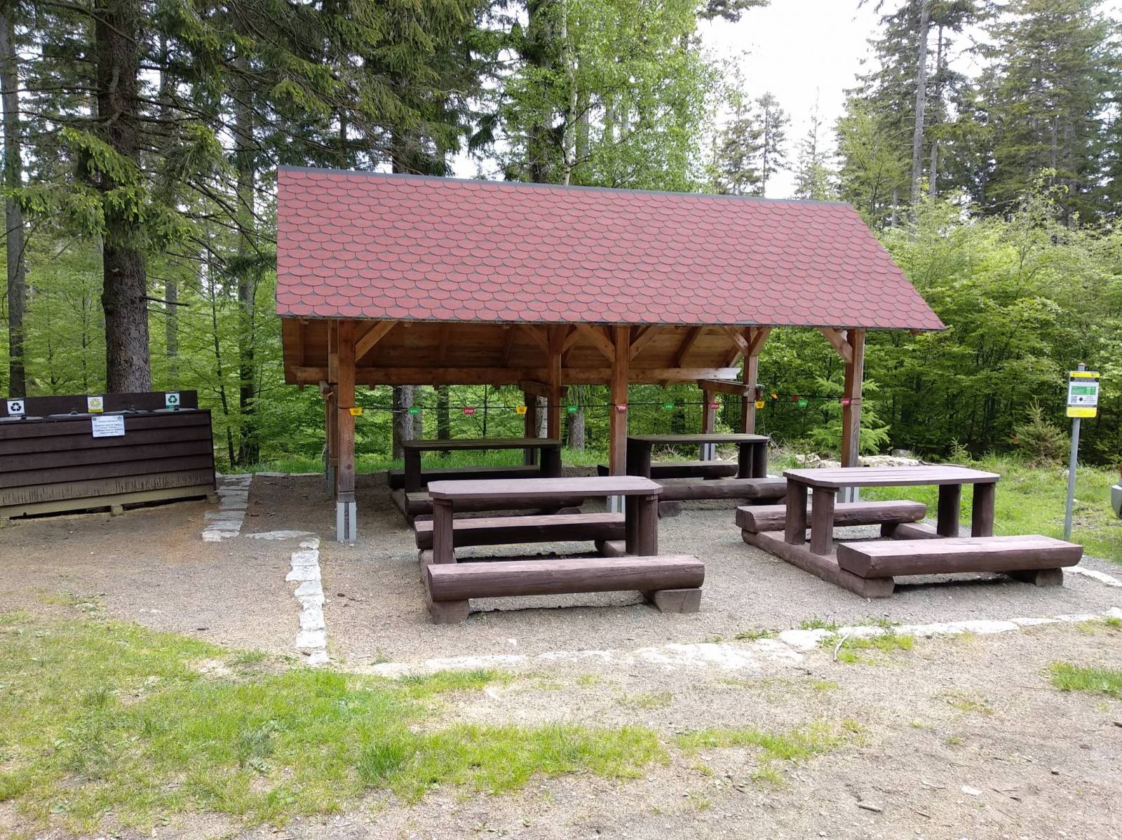 Zdjęcie 6