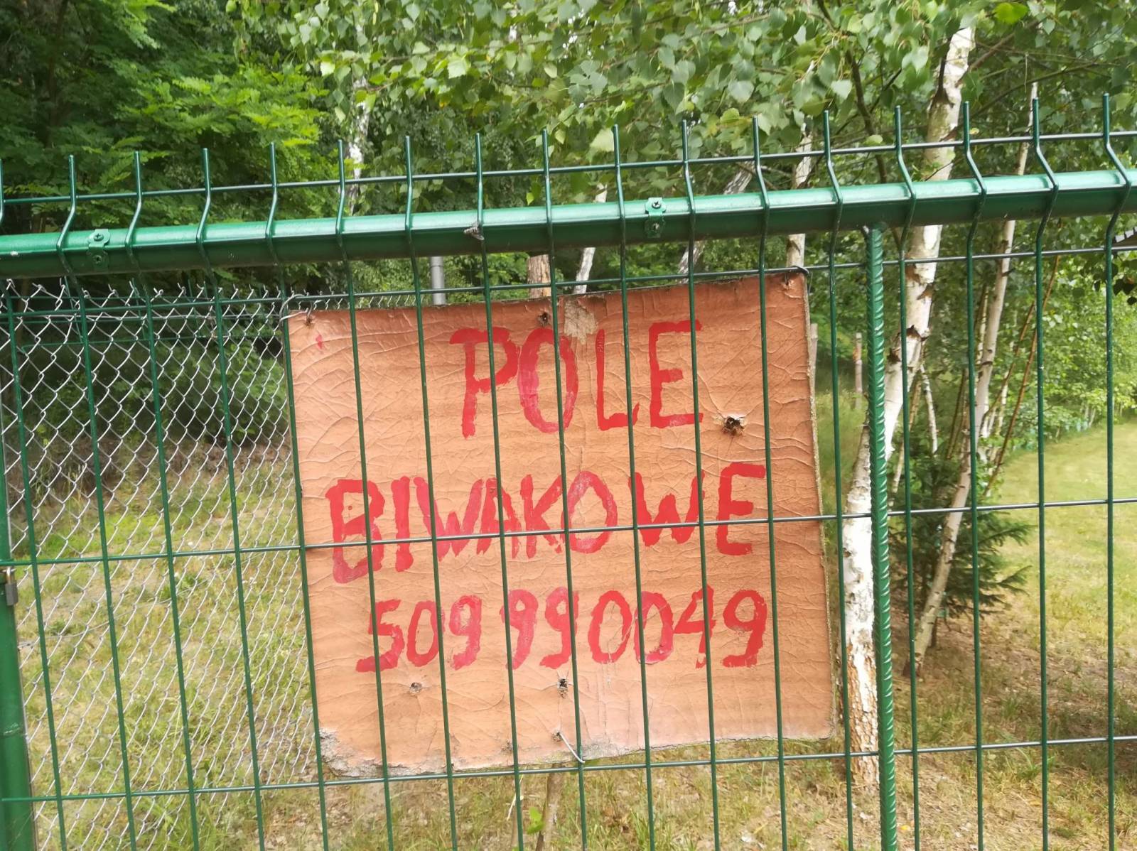 Zdjęcie 6