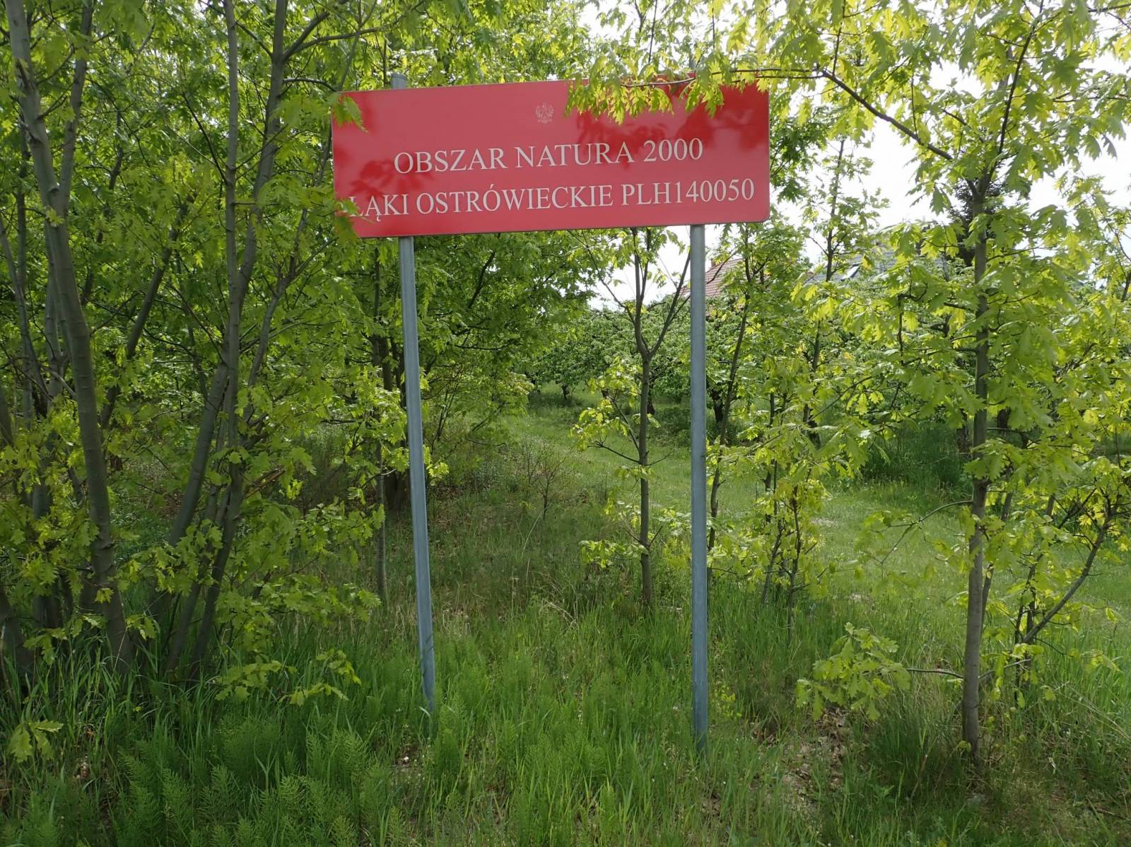 Zdjęcie 2