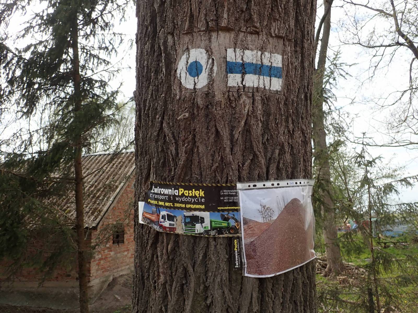 Zdjęcie 2