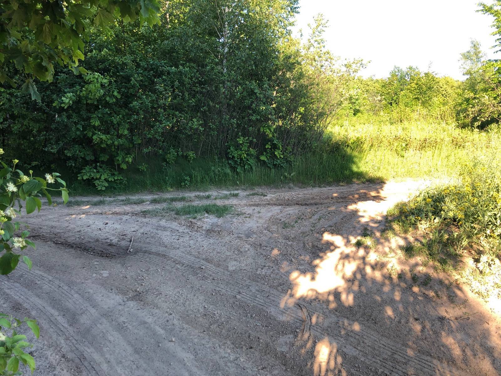Zdjęcie 5