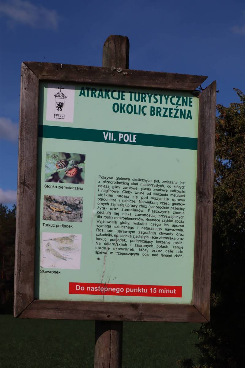 Zdjęcie 2