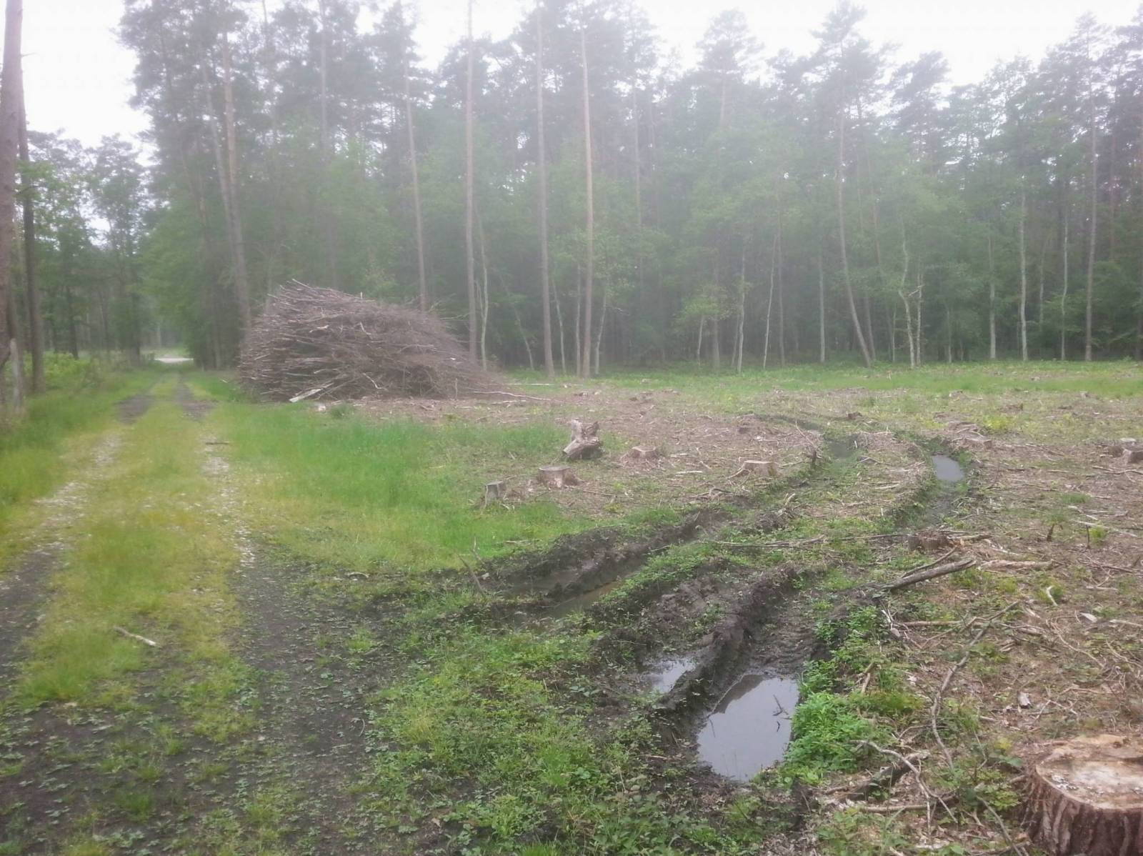 Zdjęcie 3