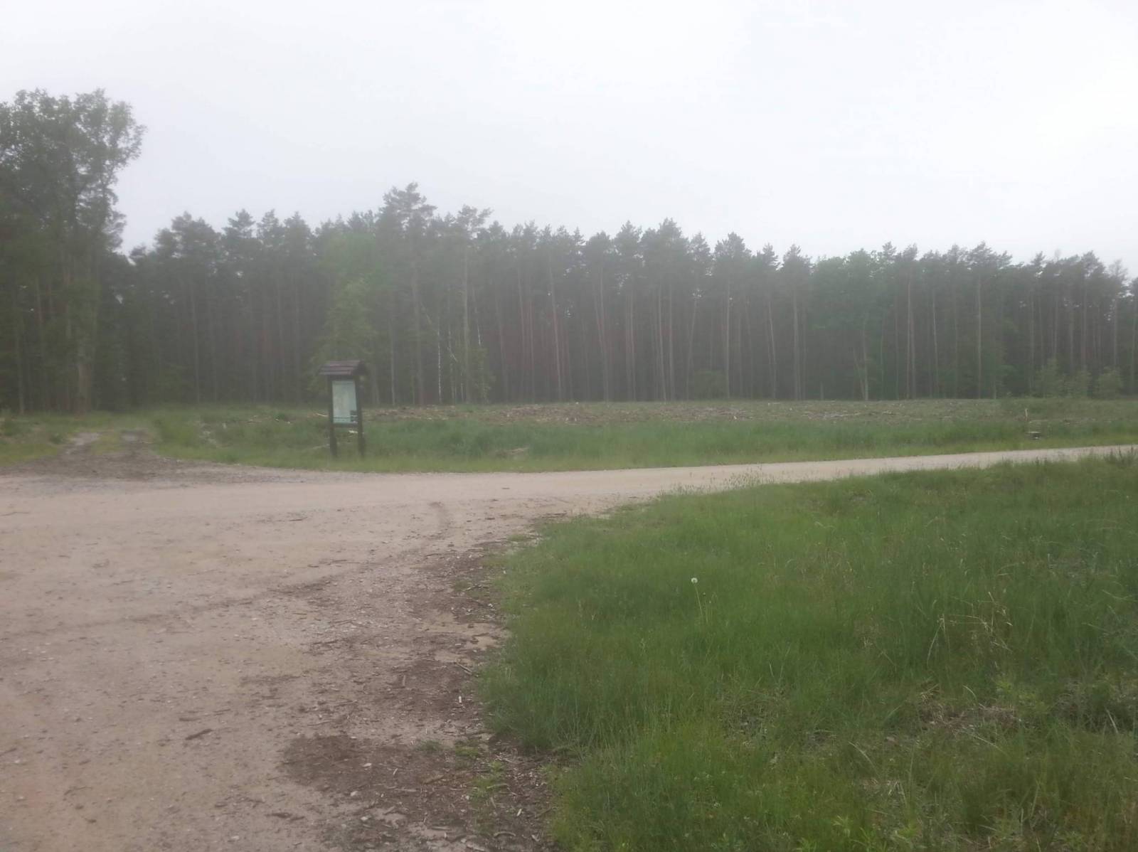 Zdjęcie 5