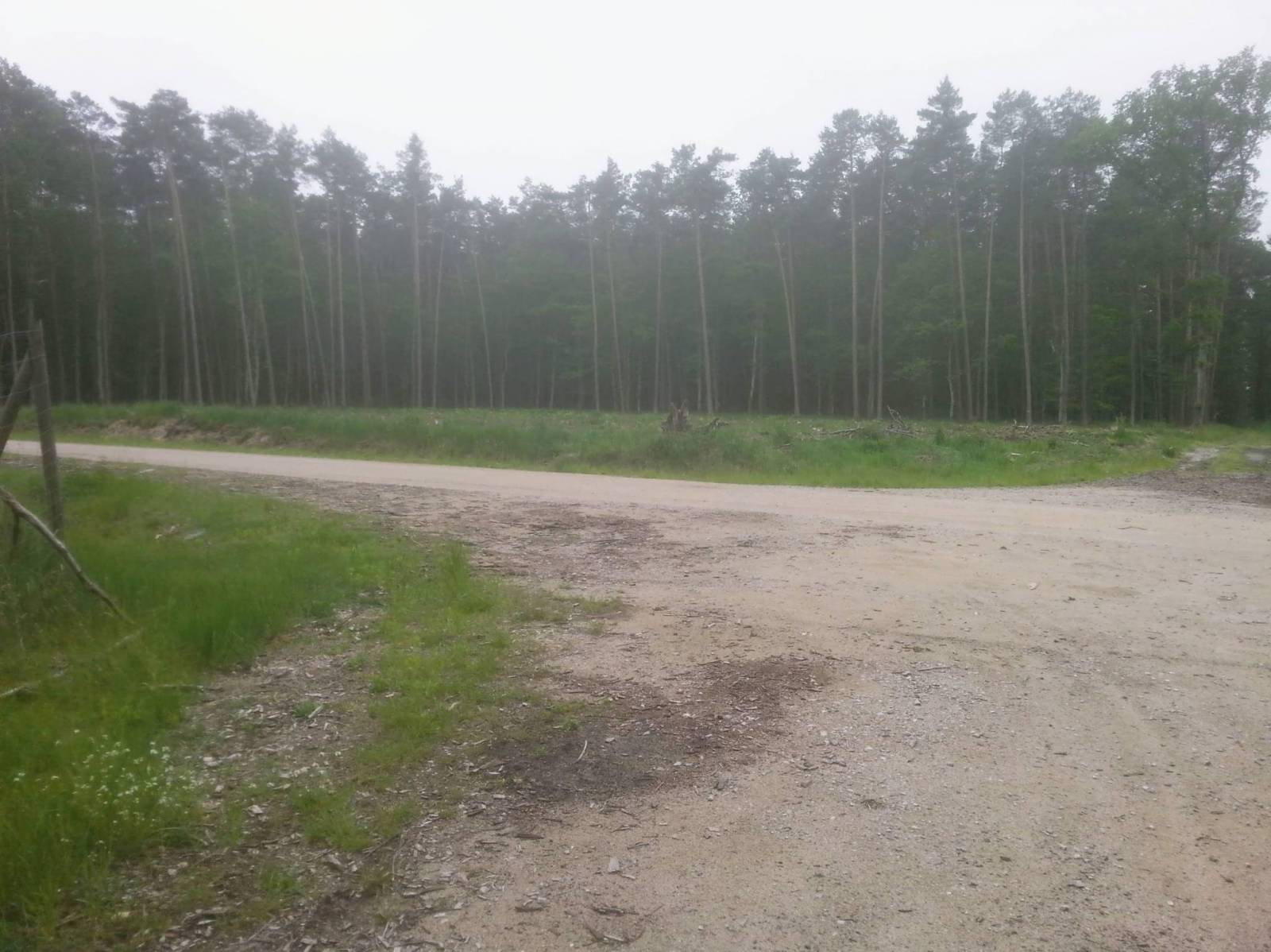 Zdjęcie 6