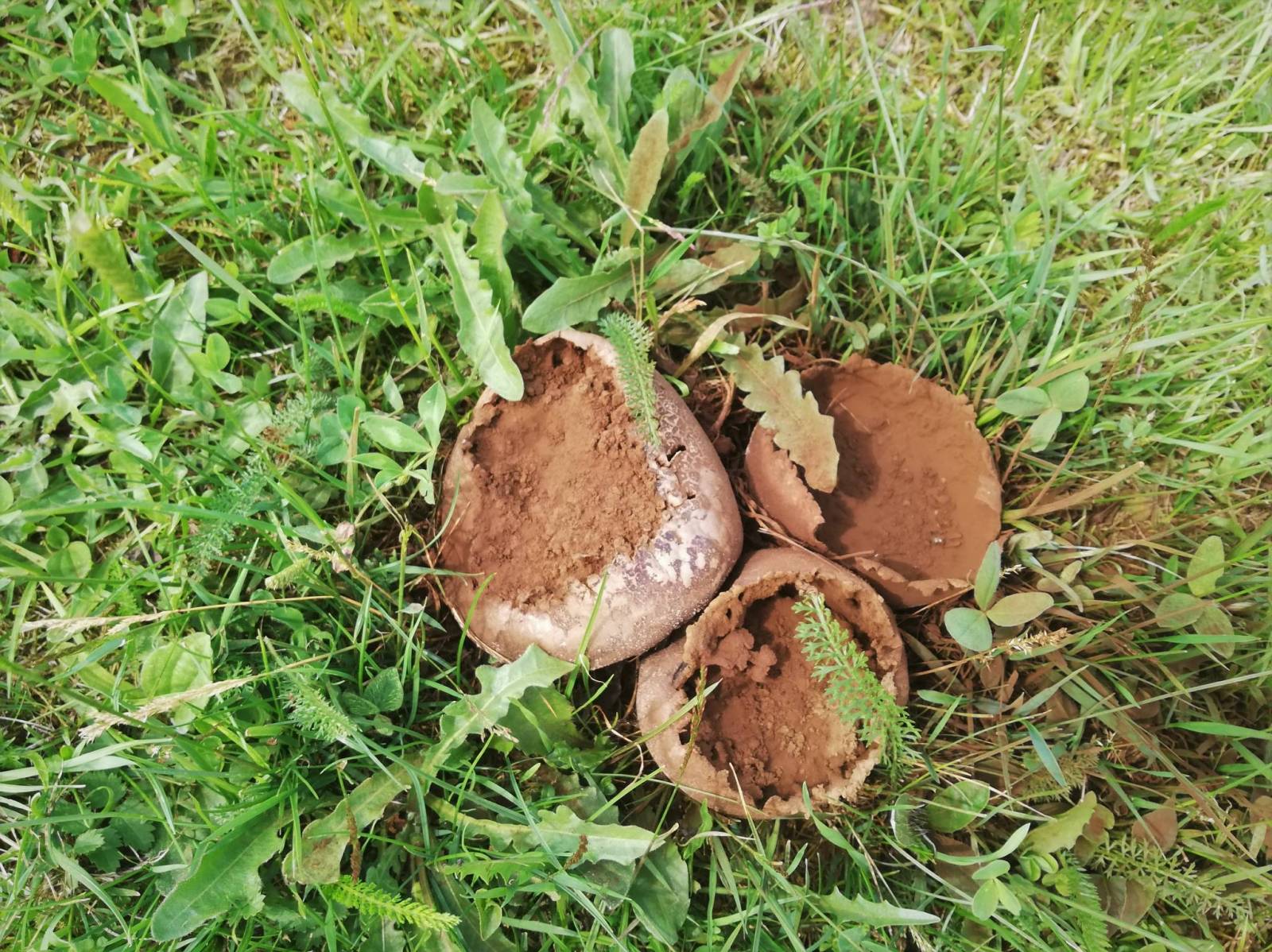 Zdjęcie 6