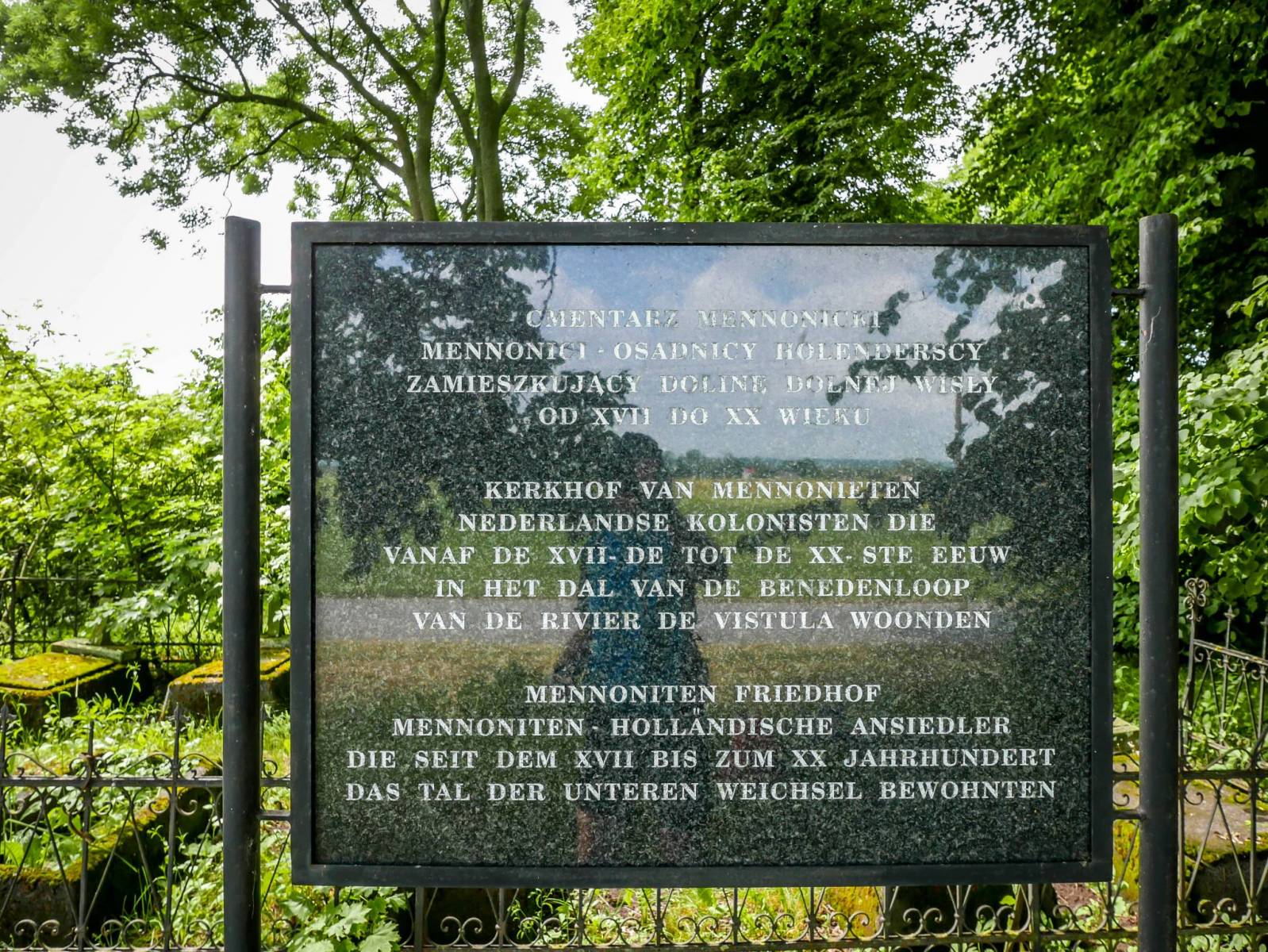 Zdjęcie 2