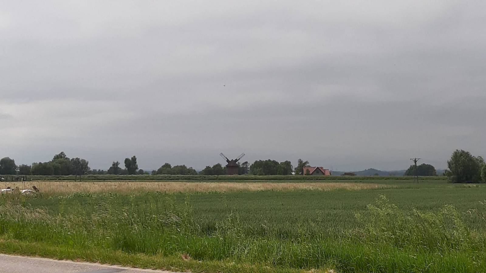 Zdjęcie 5