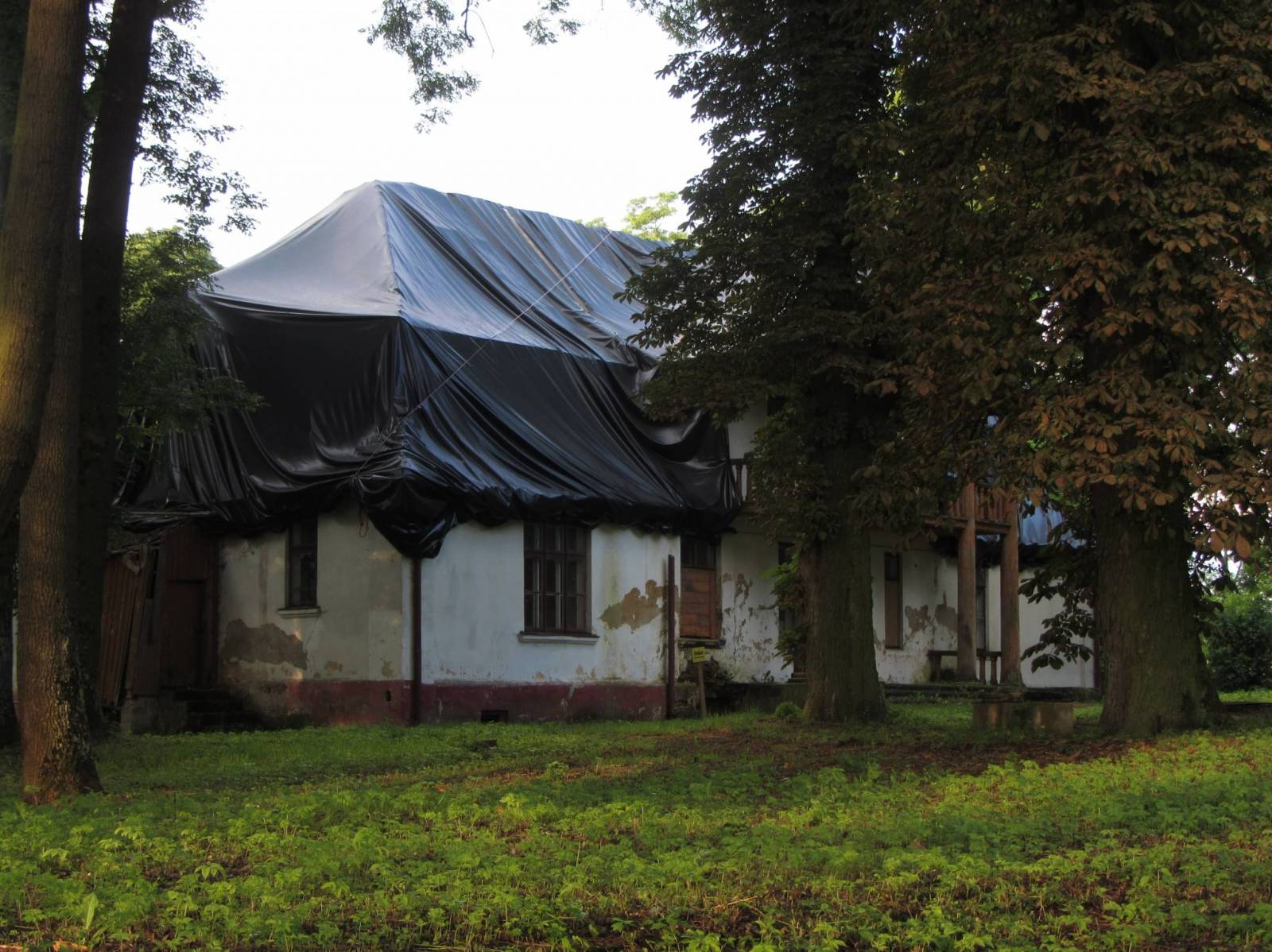 Zdjęcie 5