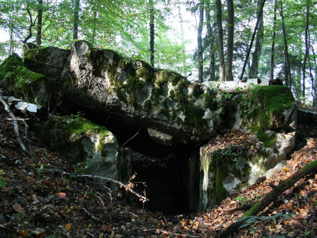 Zdjęcie 5