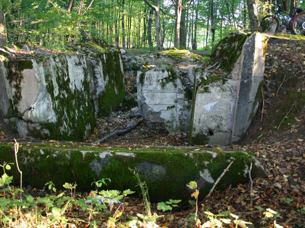 Zdjęcie 6