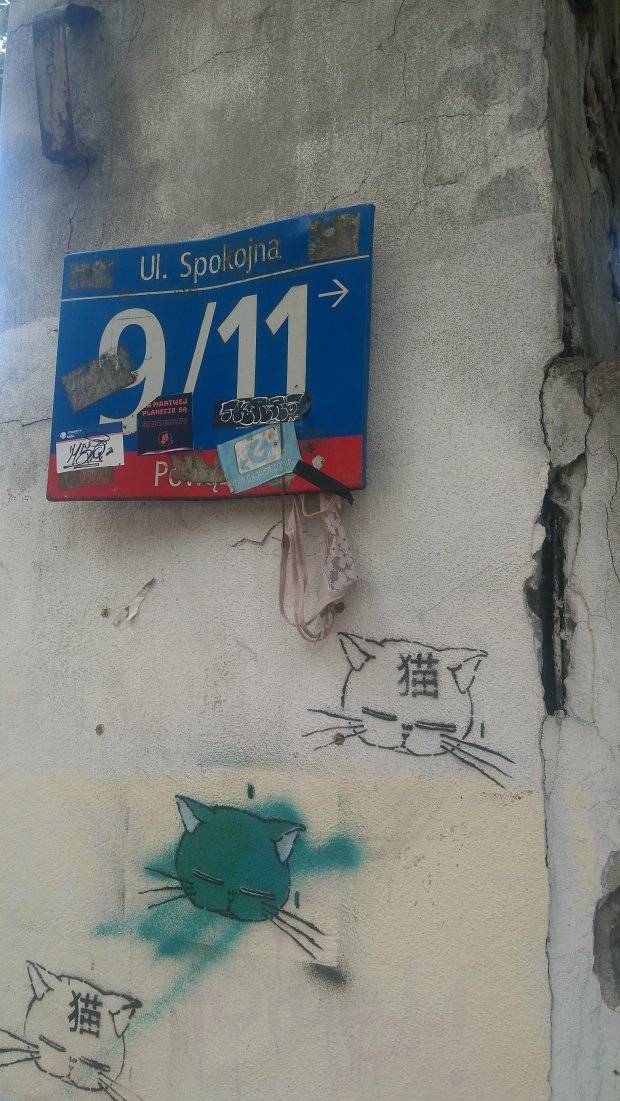 Zdjęcie 2