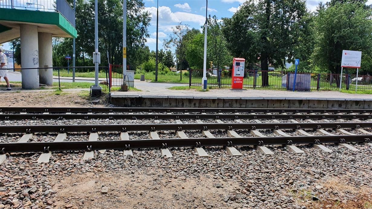 Zdjęcie 6