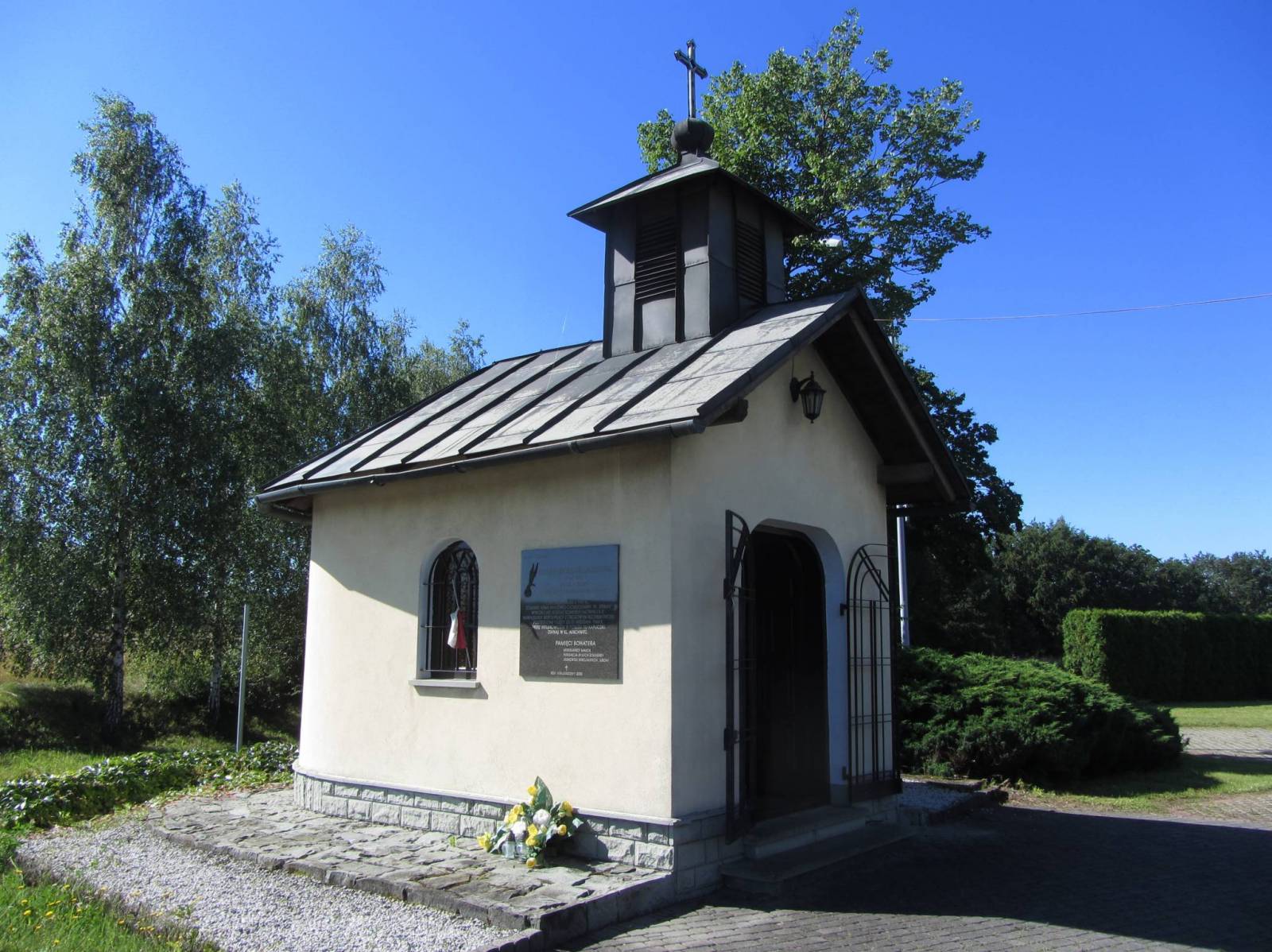 Zdjęcie 6