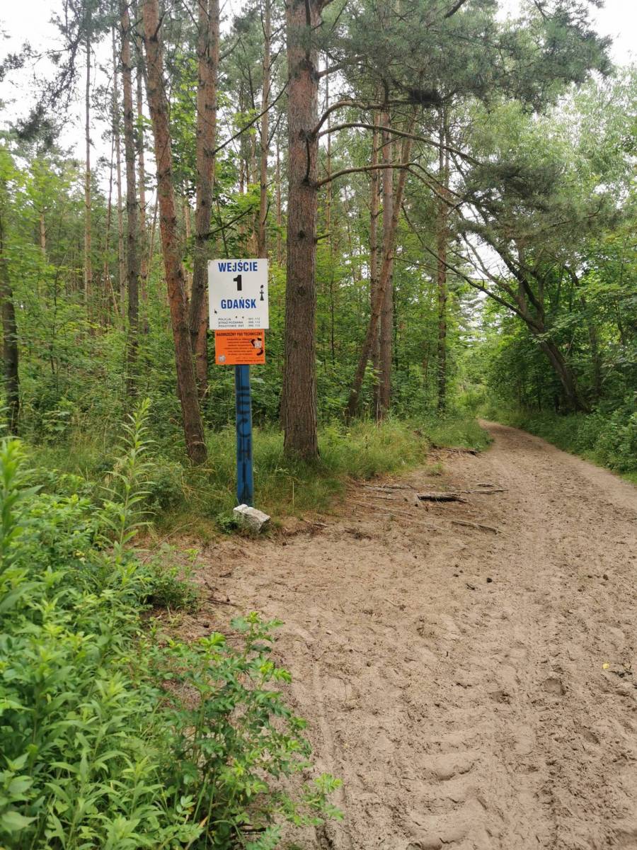 Zdjęcie 4