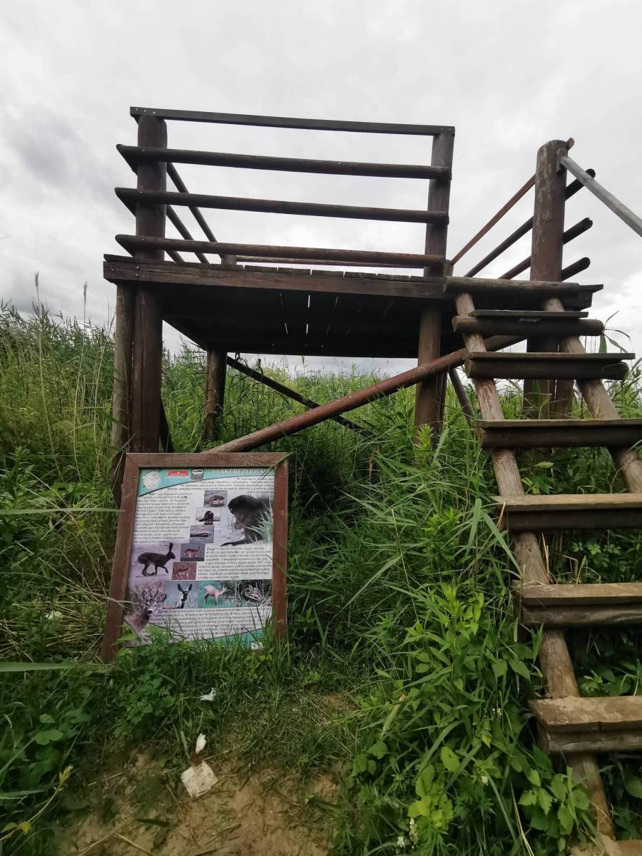 Zdjęcie 6