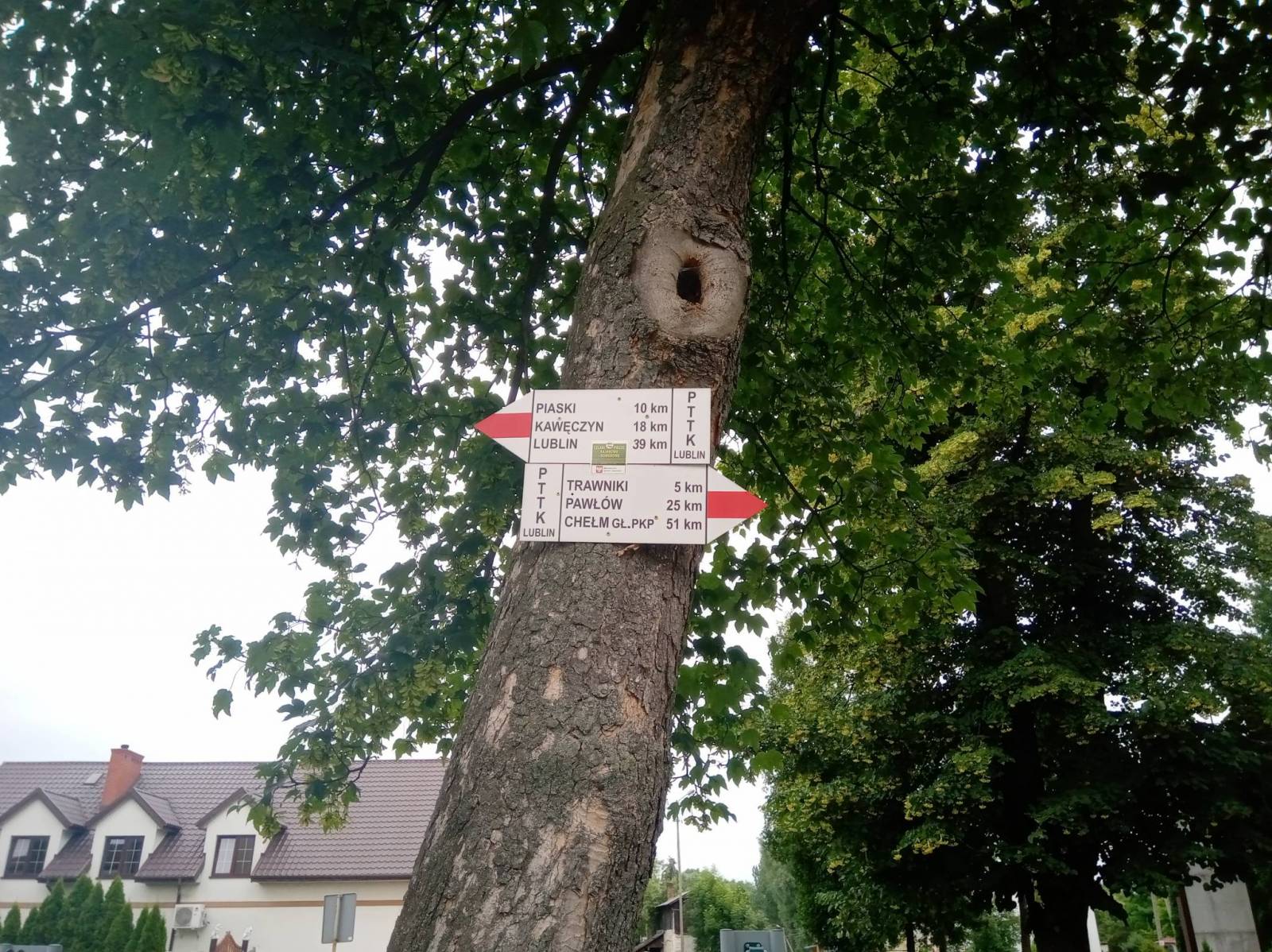 Zdjęcie 6