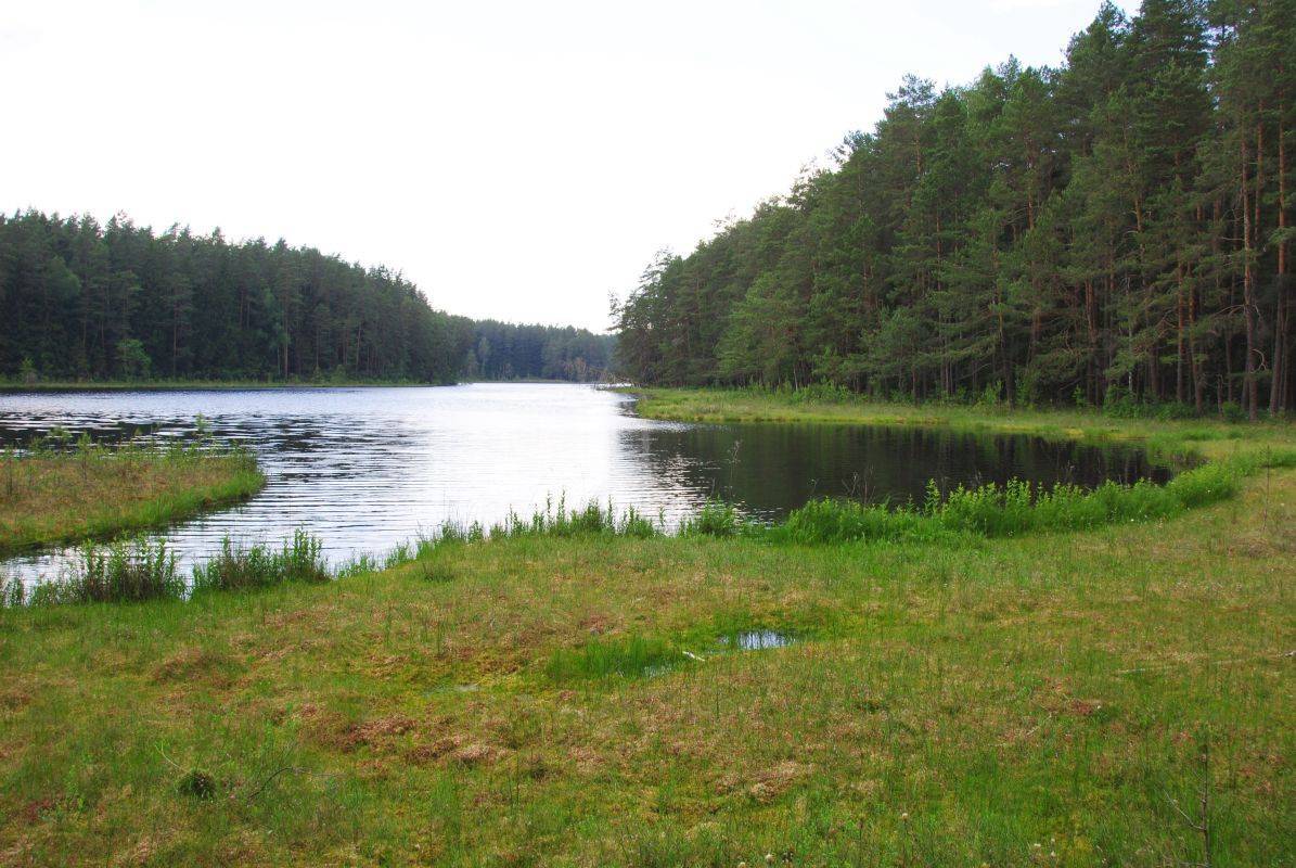 Zdjęcie 4
