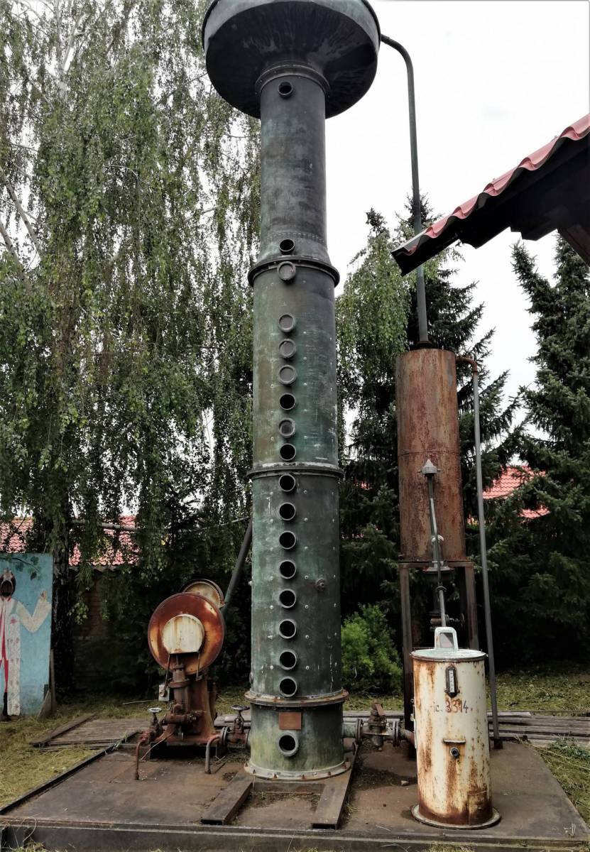 Zdjęcie 3