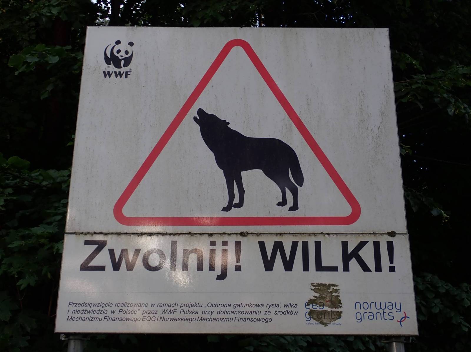 Zdjęcie 2
