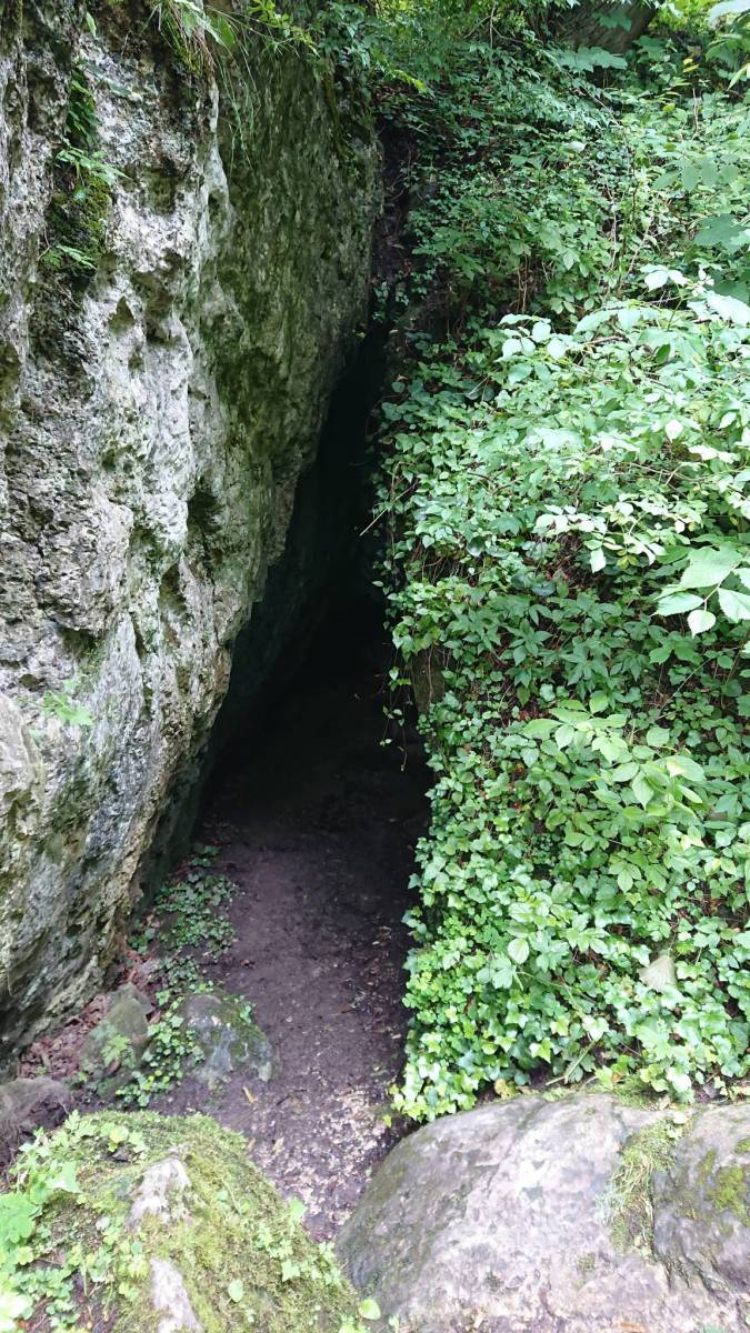 Zdjęcie 3