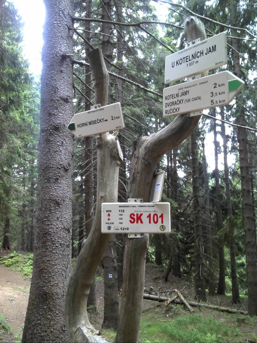 Zdjęcie 5