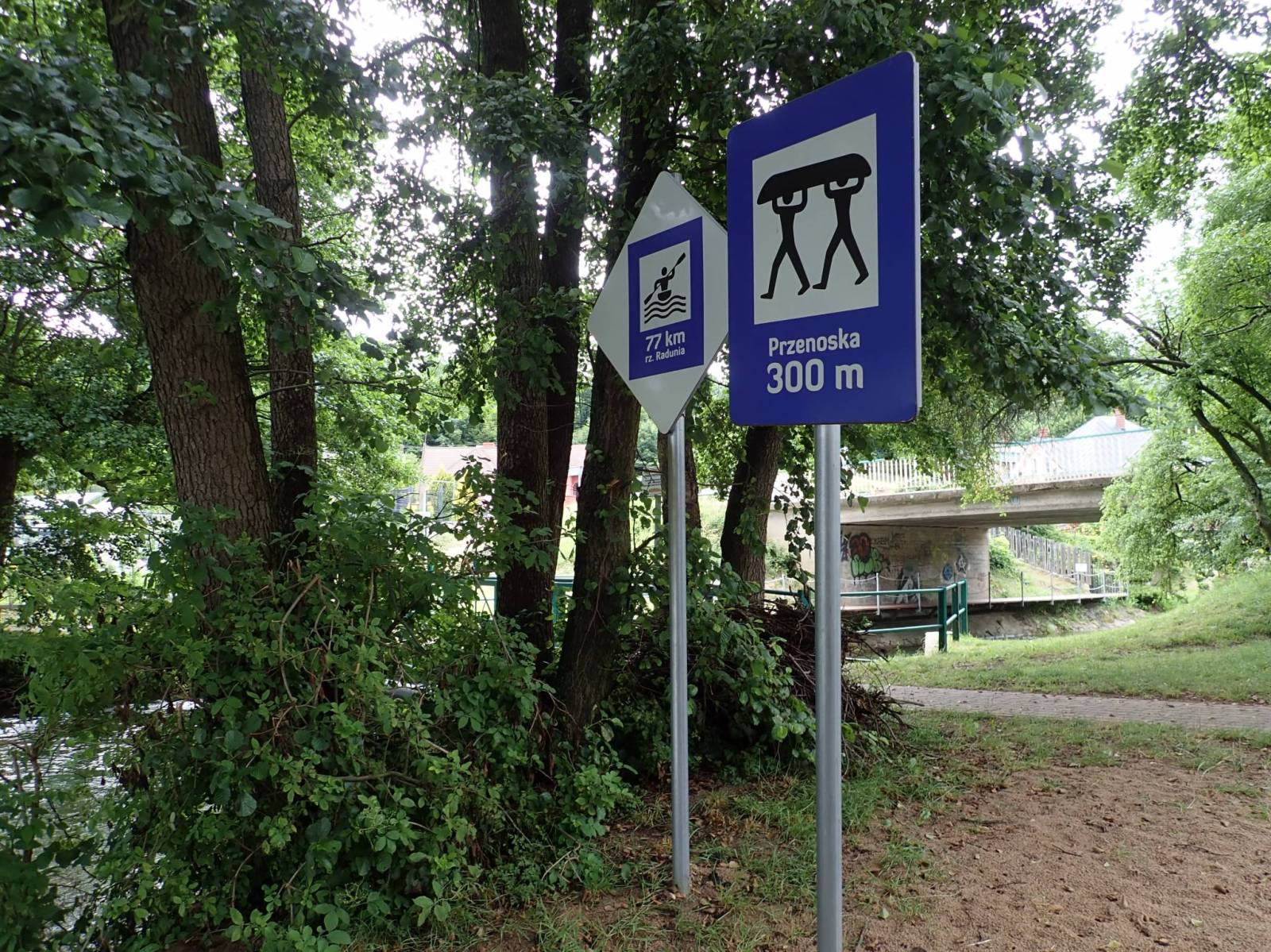 Zdjęcie 6