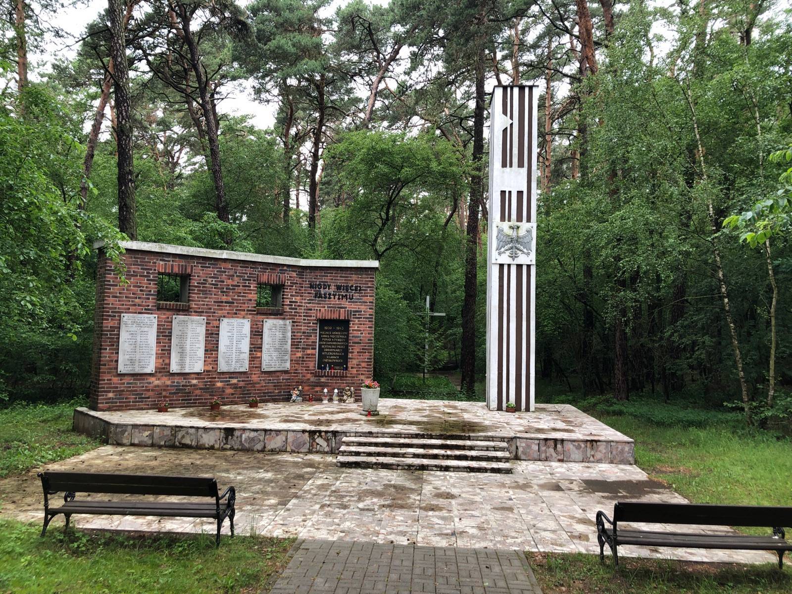 Zdjęcie 6
