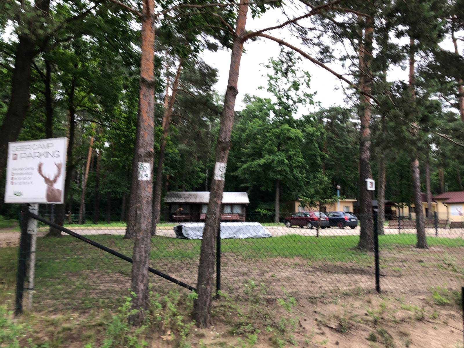 Zdjęcie 6