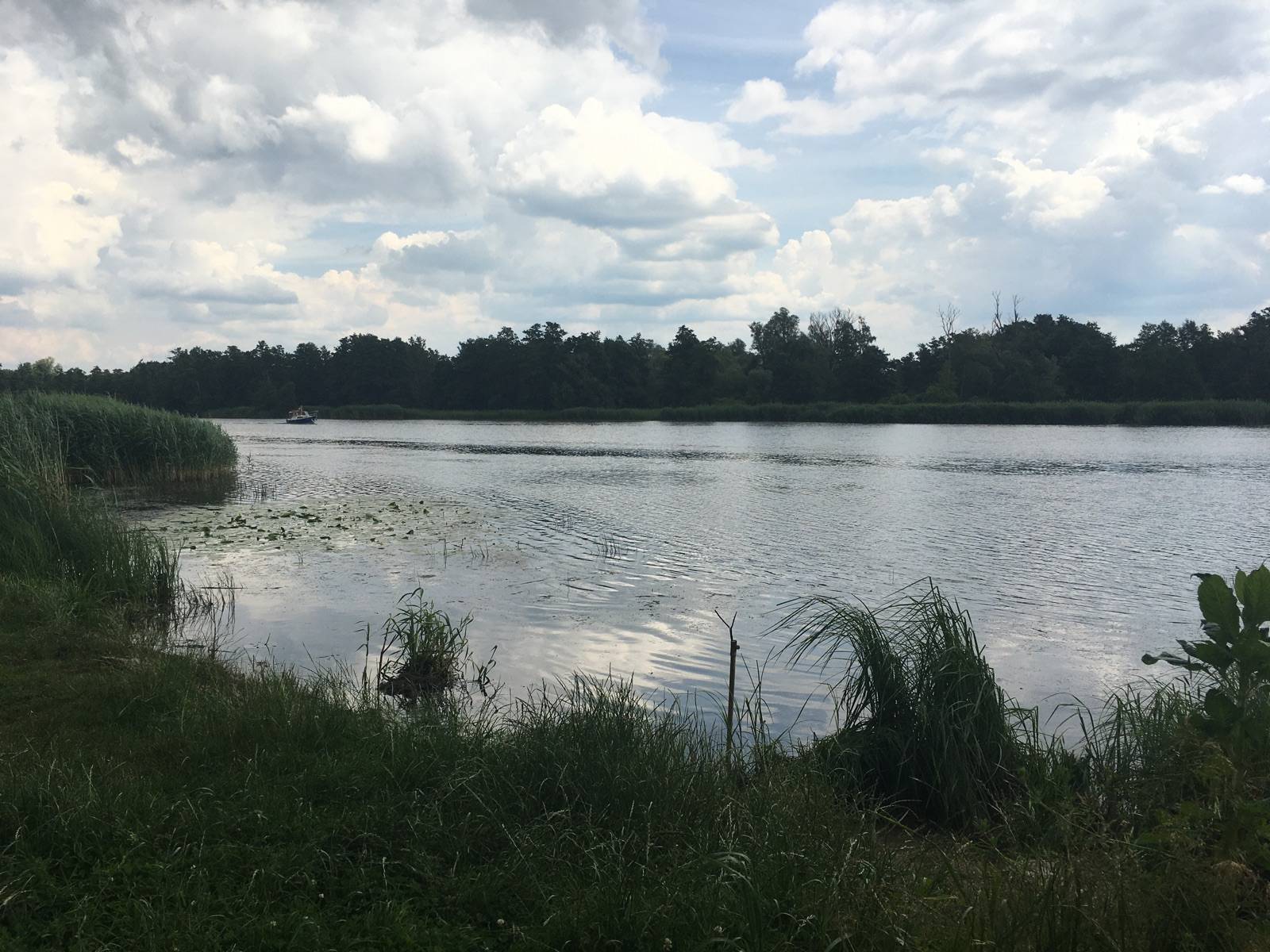 Zdjęcie 3