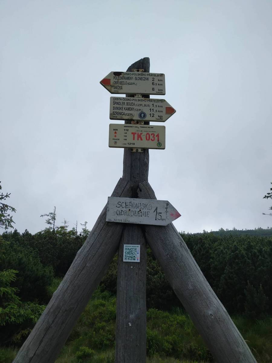 Zdjęcie 6