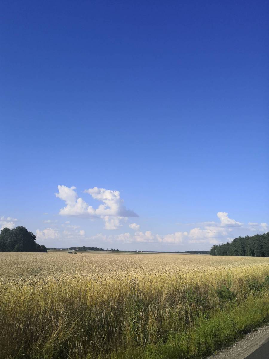 Zdjęcie 3