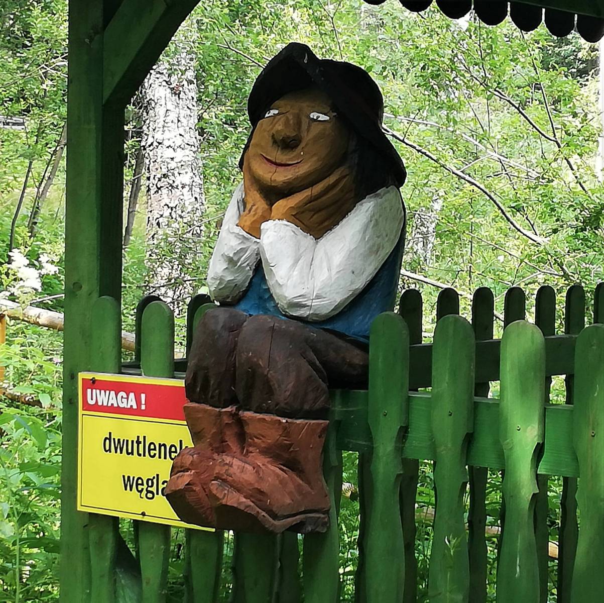 Zdjęcie 2