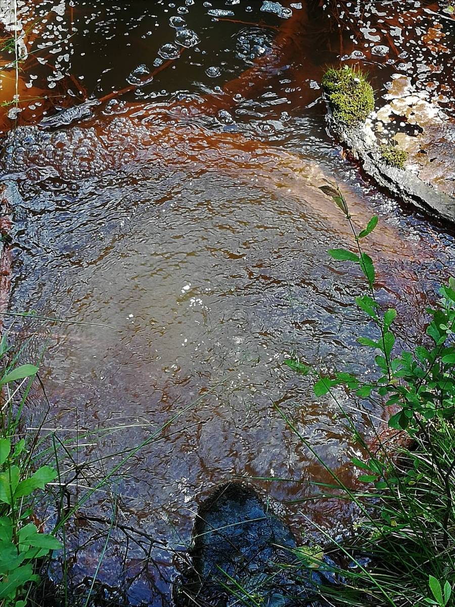 Zdjęcie 5
