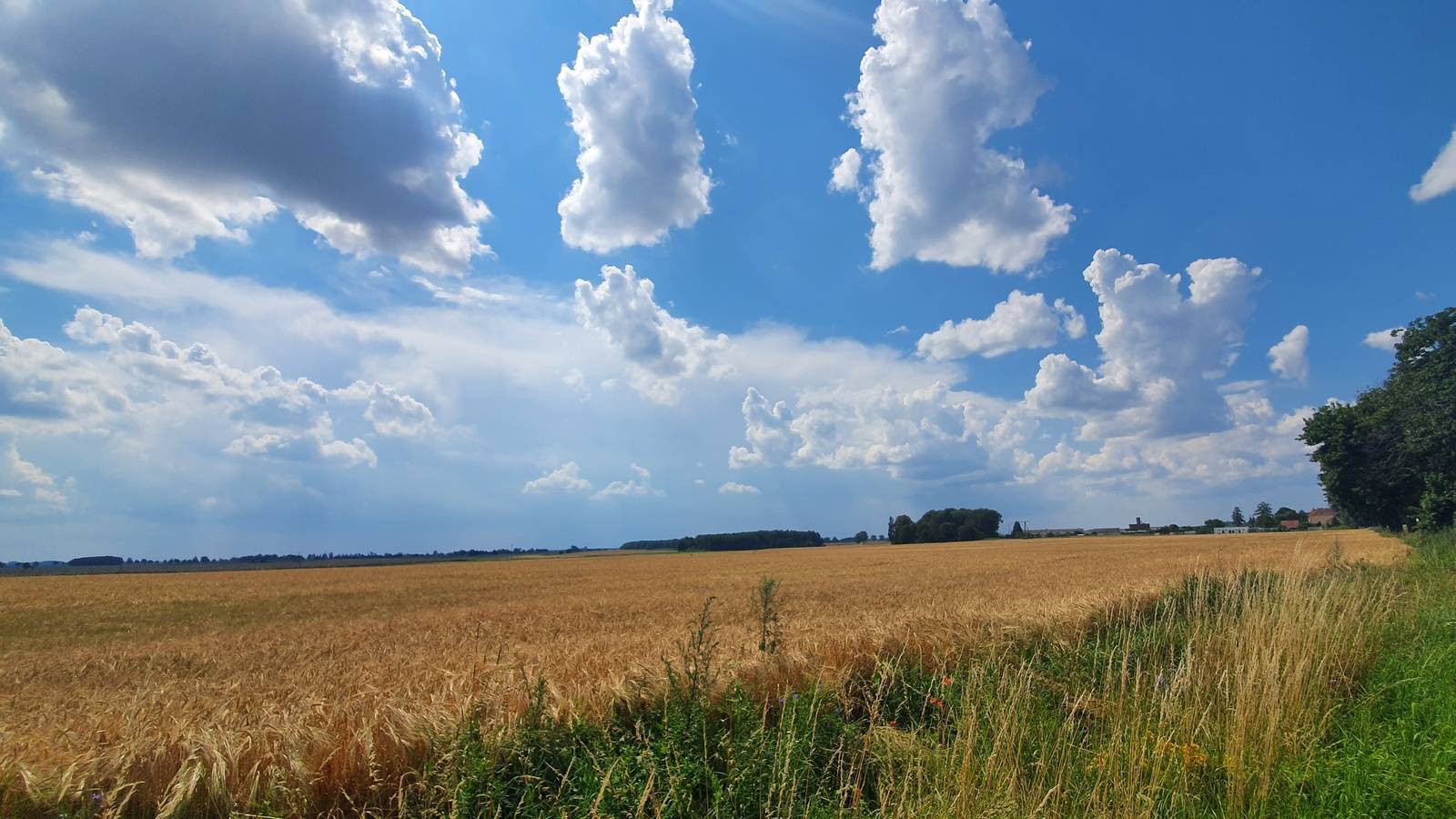 Zdjęcie 5
