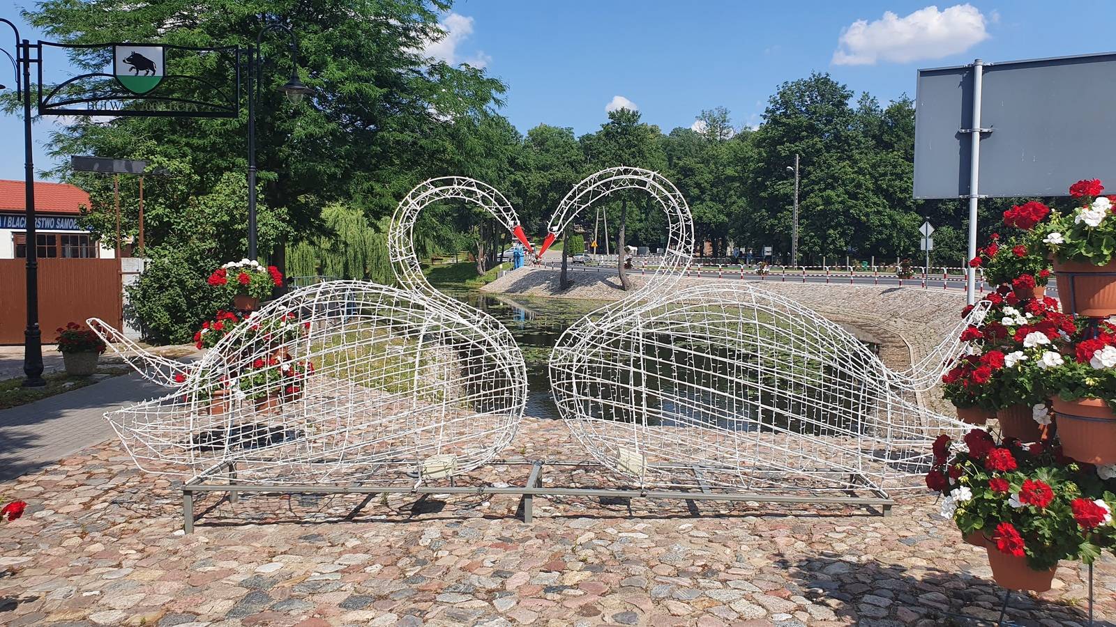 Zdjęcie 6
