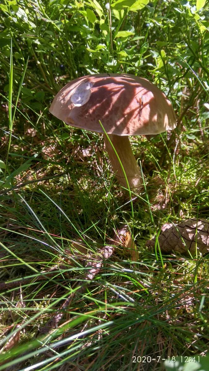 Zdjęcie 5