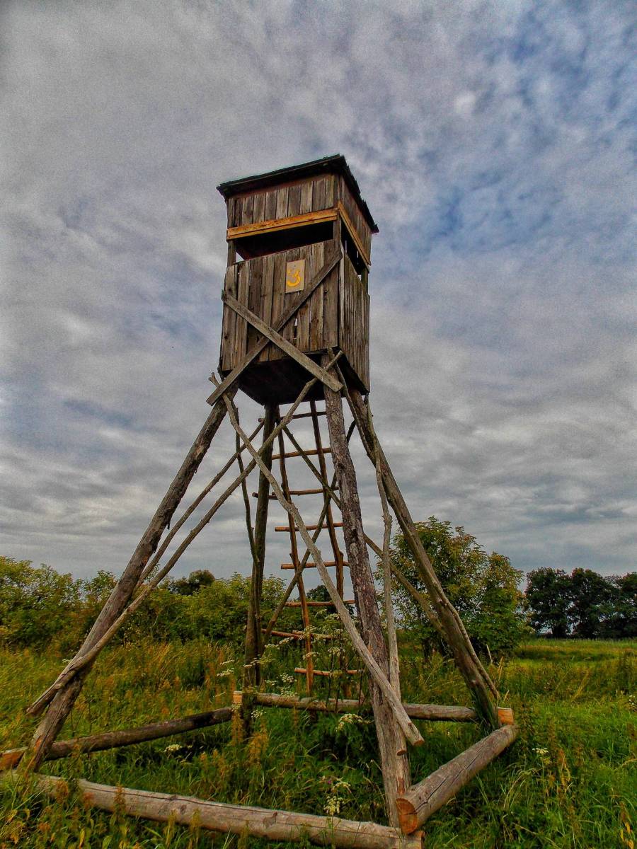Zdjęcie 4
