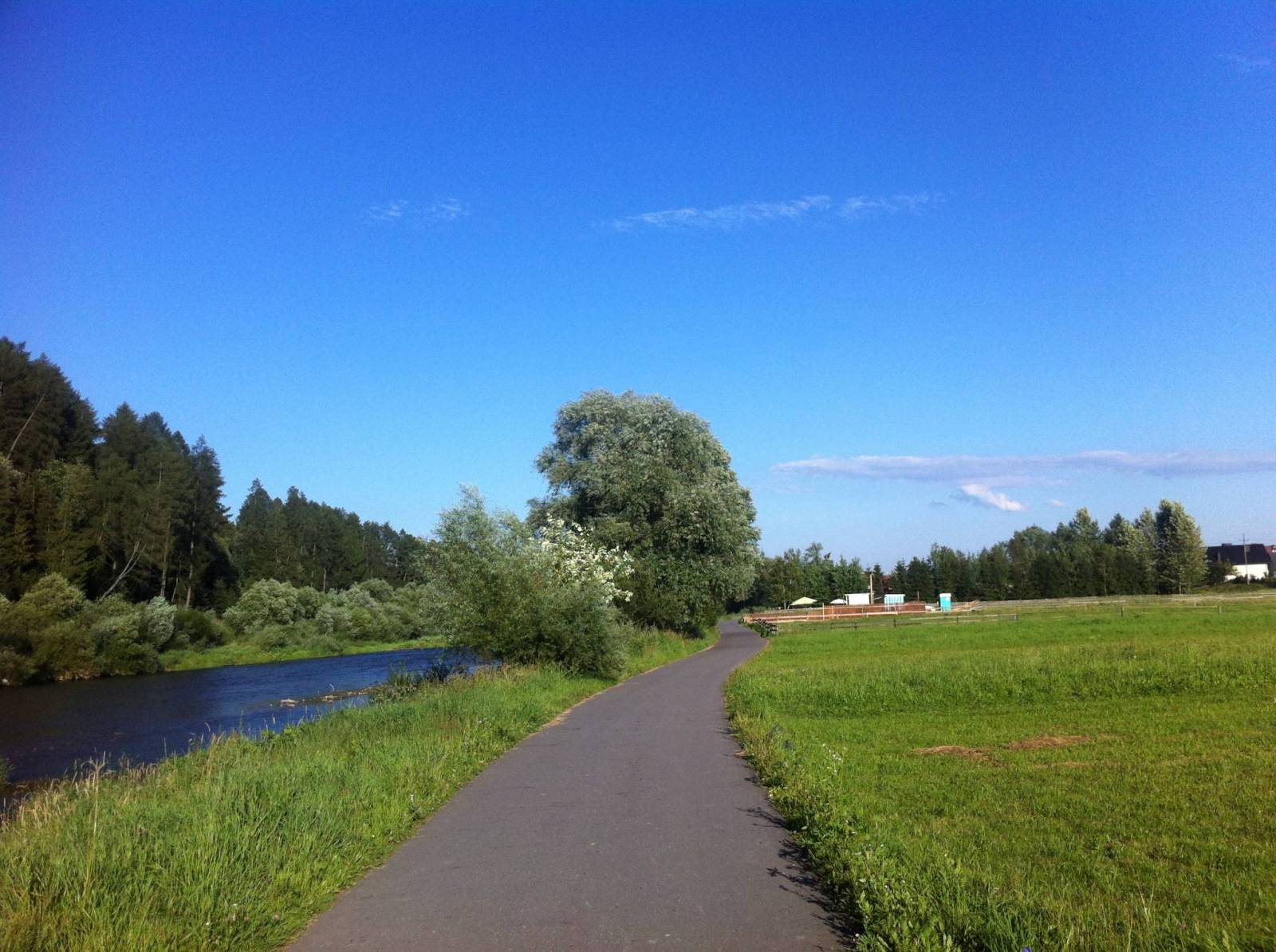 Zdjęcie 3