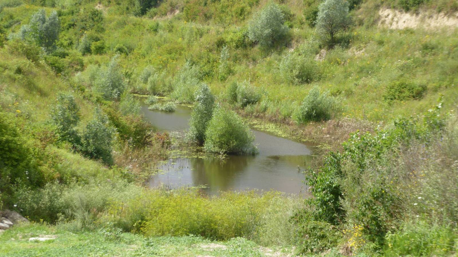 Zdjęcie 2